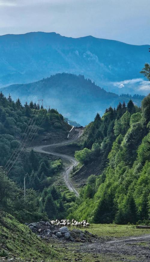 迭部附近旅游景点大全