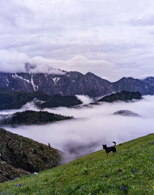 淄博山区旅游景点大全