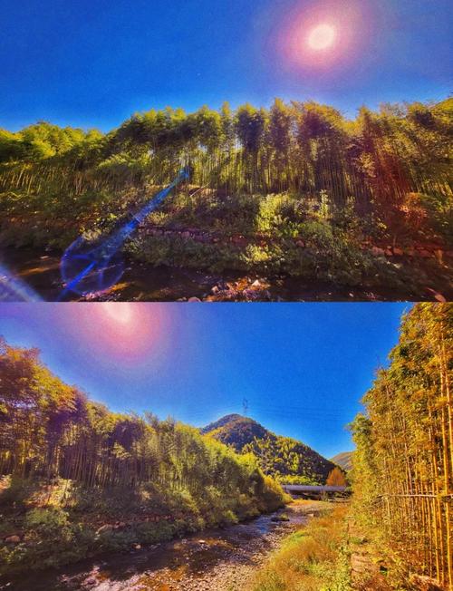 莫干山课间度假酒店