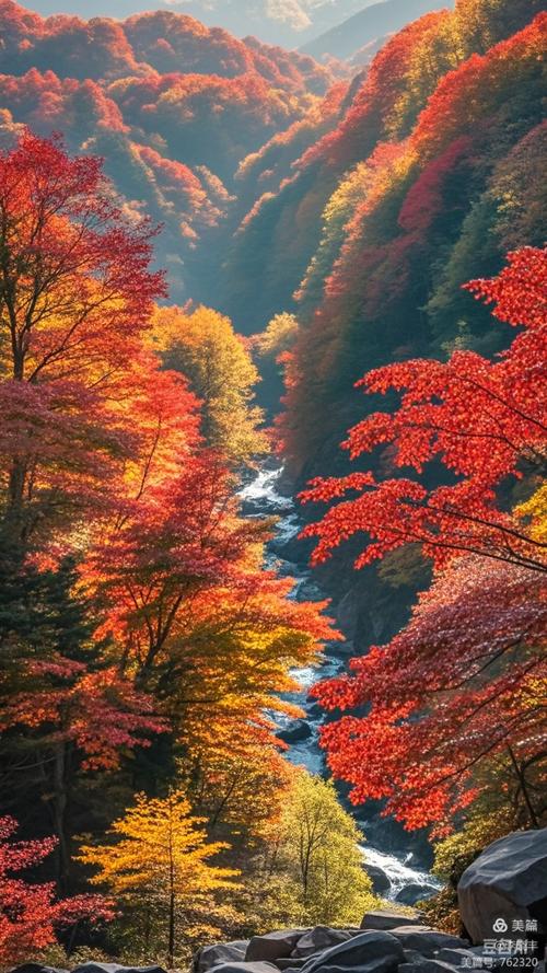 红叶谷自驾游攻略吉林