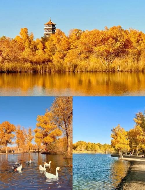 国庆重庆自驾游额济那