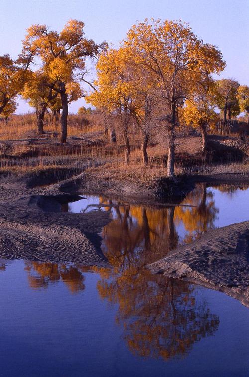 乌鲁木齐市景点有哪些