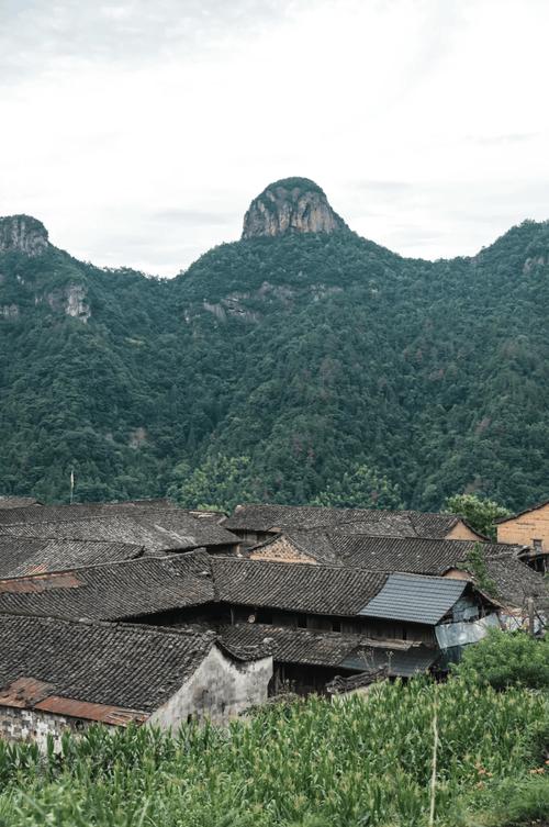 浙江仙居旅游景点图片
