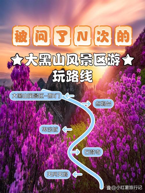 大庆一山东自驾游攻略