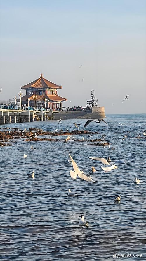 烟台青岛旅游景点大全