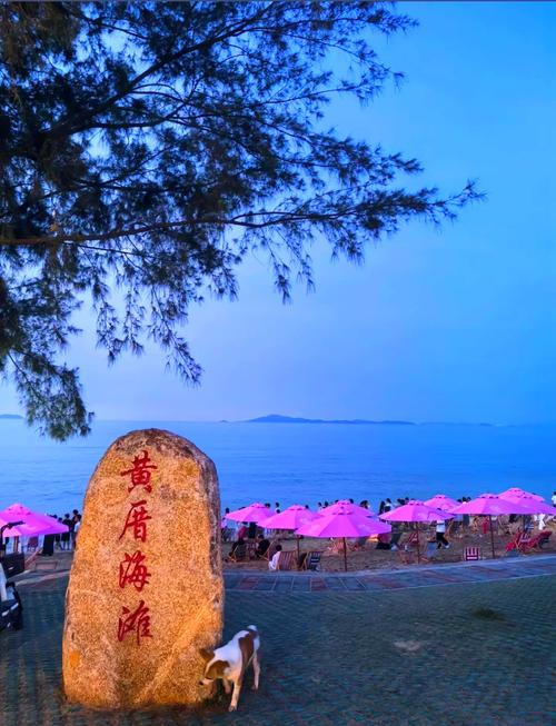 厦门附近景点哪里好玩