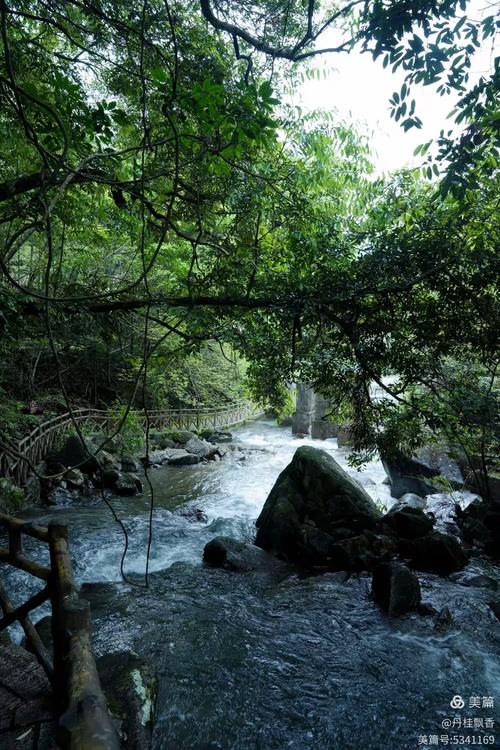 三桠塘幽谷自驾游攻略