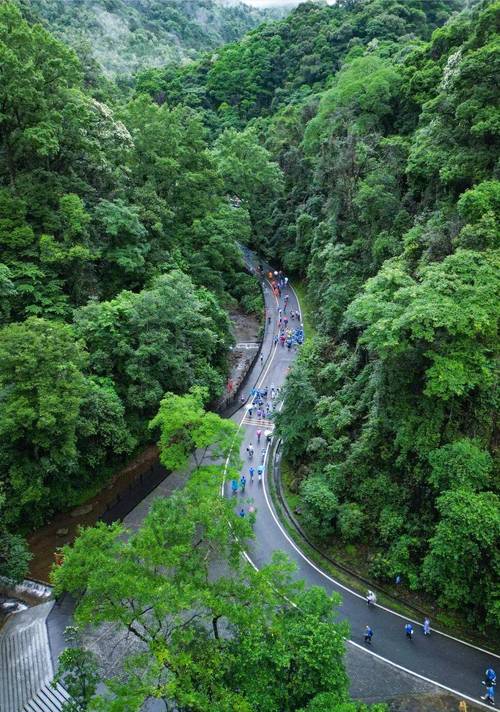 崇义有什么好玩的景点