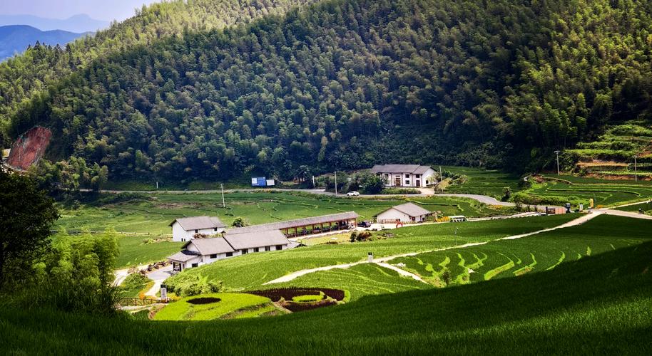 崇义有什么好玩的景点