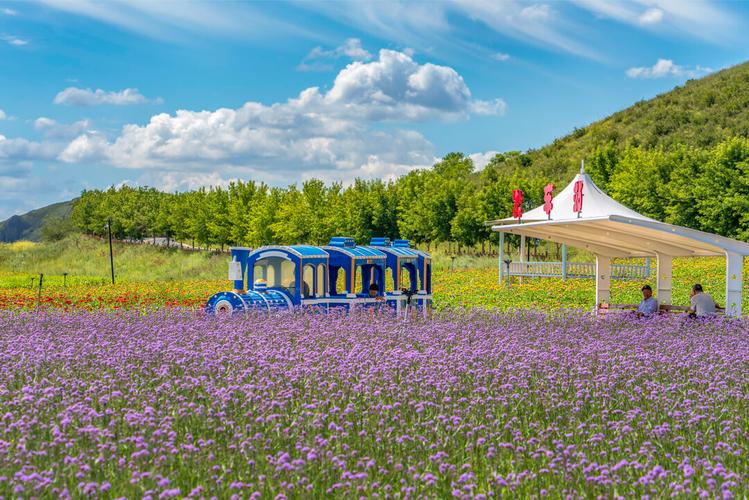 秦皇岛的花海旅游景点