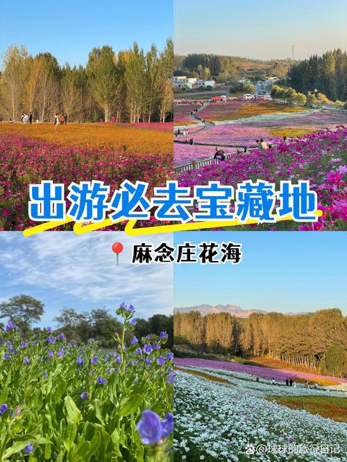 秦皇岛的花海旅游景点
