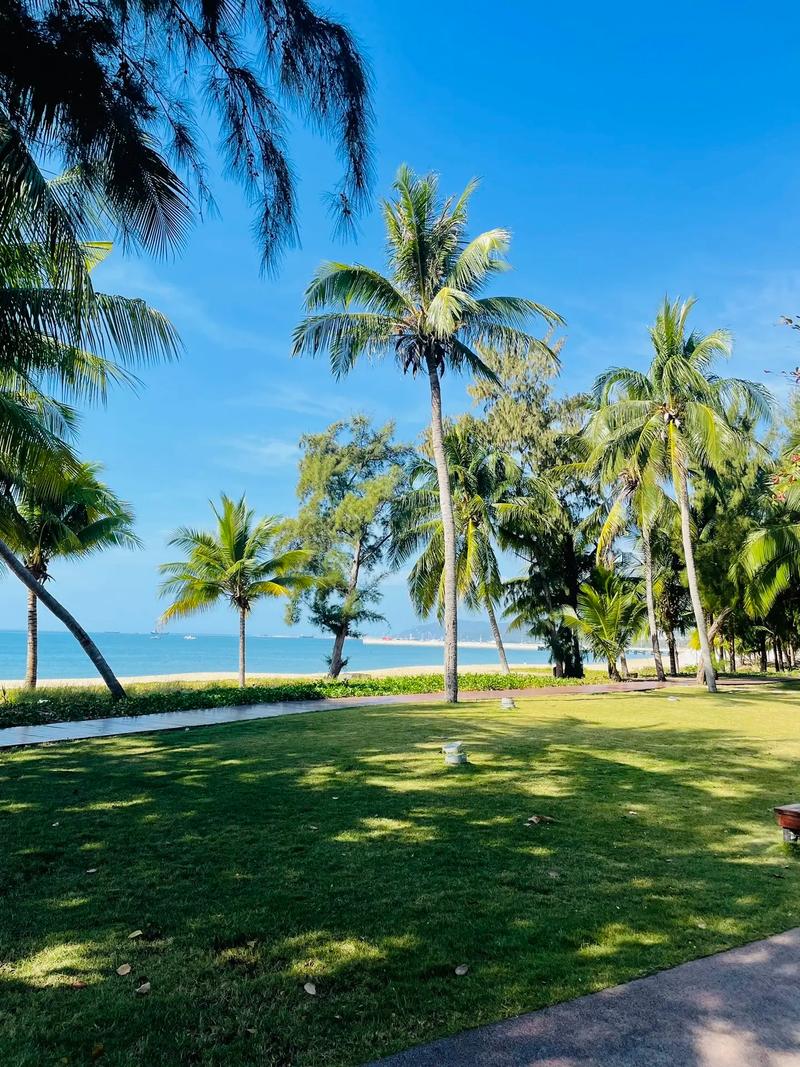 自驾游度蜜月去哪里好