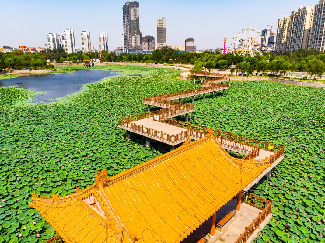 德州近郊自驾游一日游