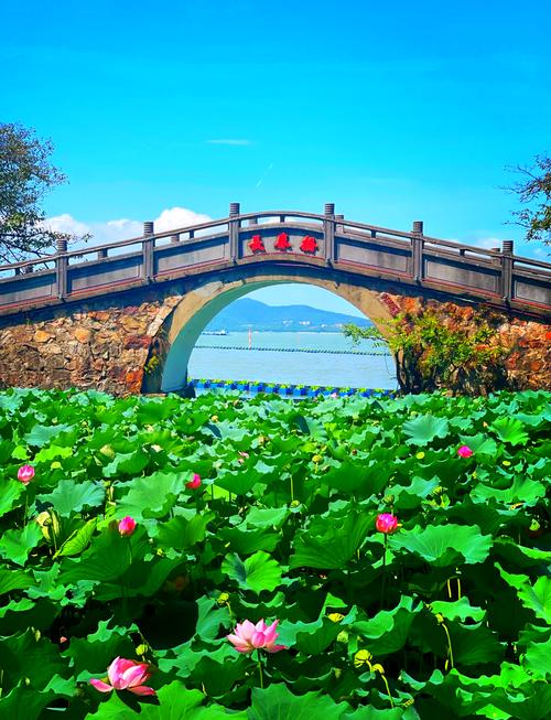 自驾游无锡太湖一日游