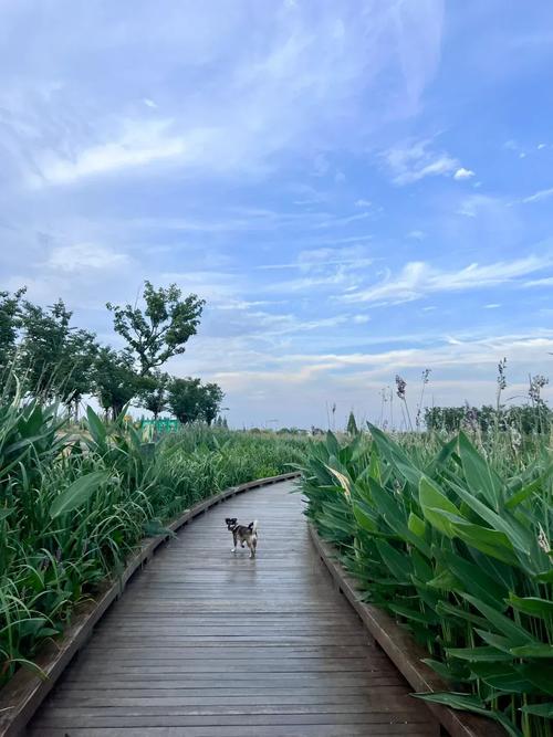上海周边二日游自驾游