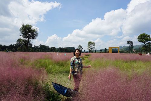 旧州古镇游玩景点花海