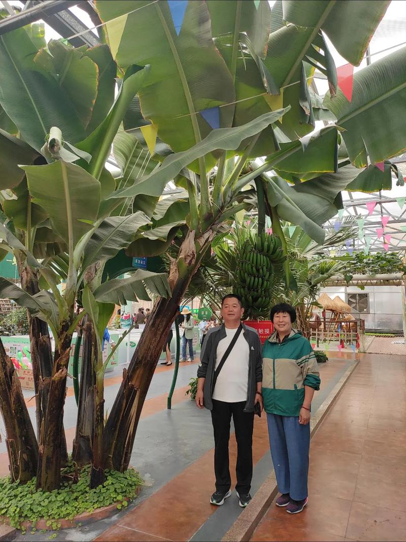 寿光周边自驾游一日游