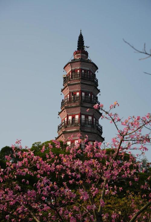 顺德景点一日游自驾游