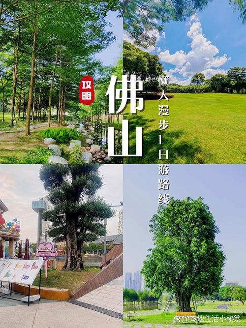 顺德景点一日游自驾游