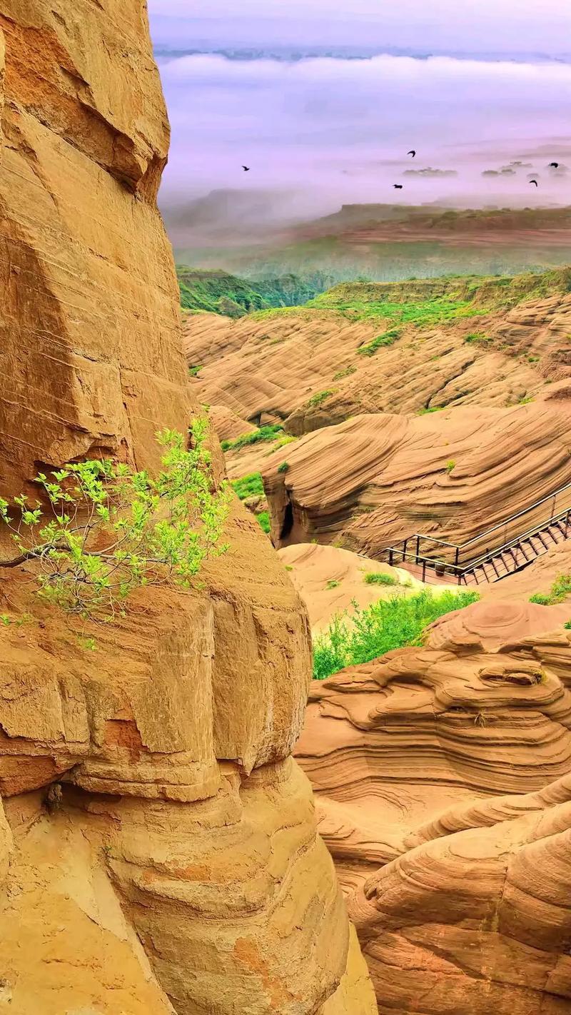 靖边周围旅游景点大全