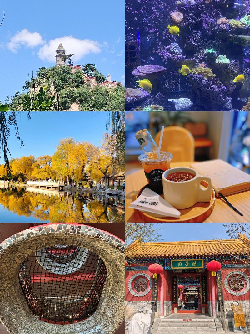 天津都有什么旅游景点