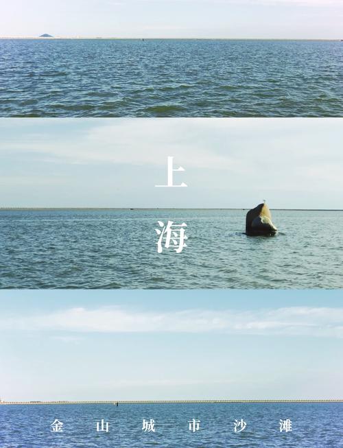 上海周边大海旅游景点