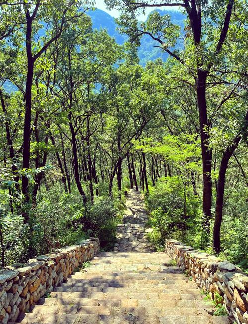 鲁山周边自驾游一日游