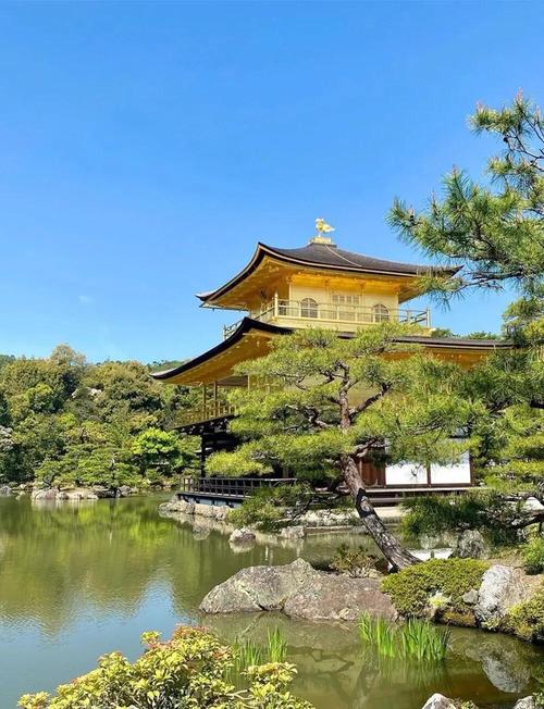 日本有哪些好玩的景点