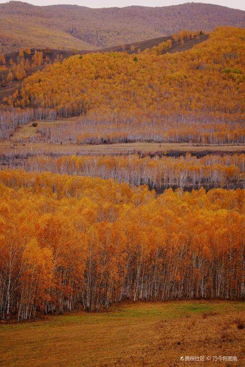 阿右旗旅游景点 攻略