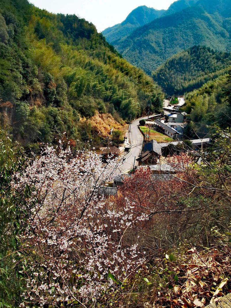 富阳有哪些好玩的景点