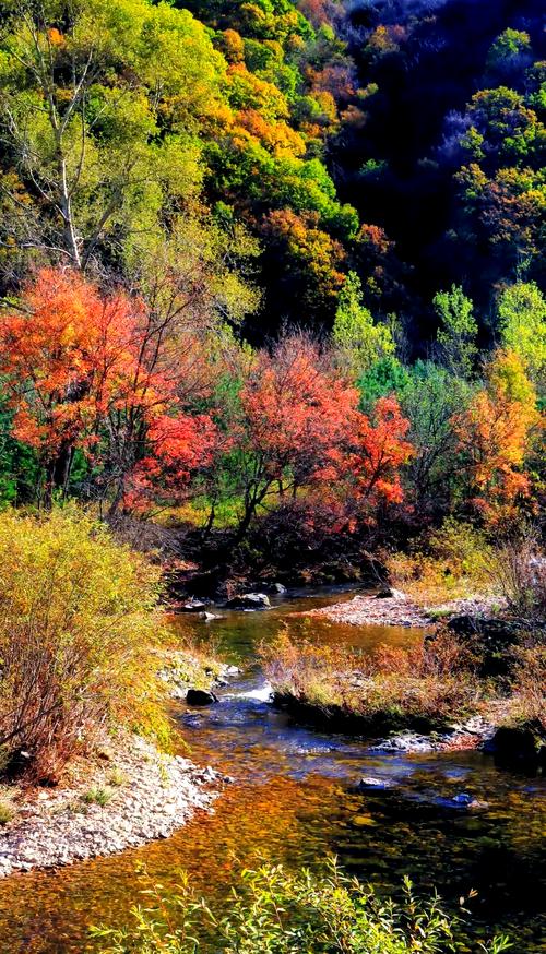 国内秋天旅游景点大全