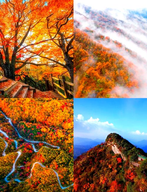 国内秋天旅游景点大全