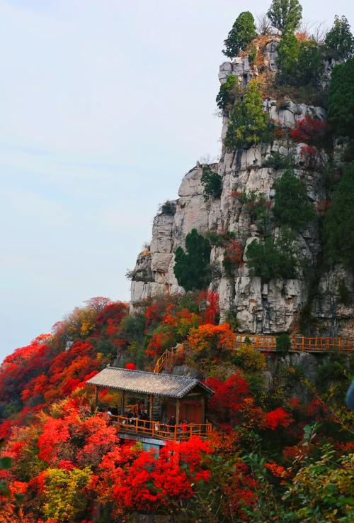 淄博周边自驾游小景点