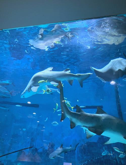 北京海洋馆附近酒店