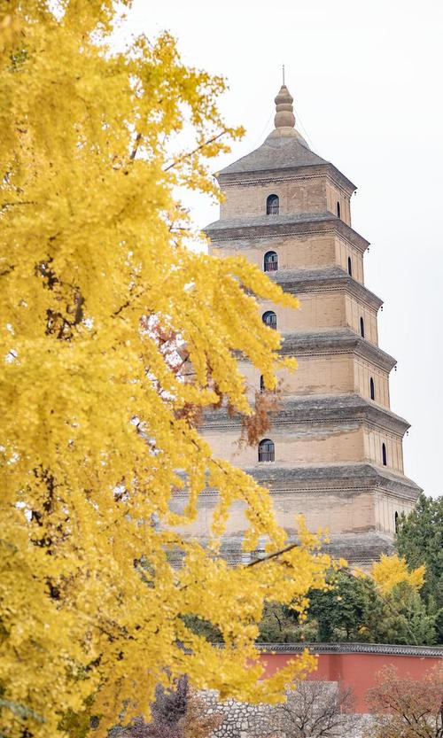 西安近郊免费旅游景点