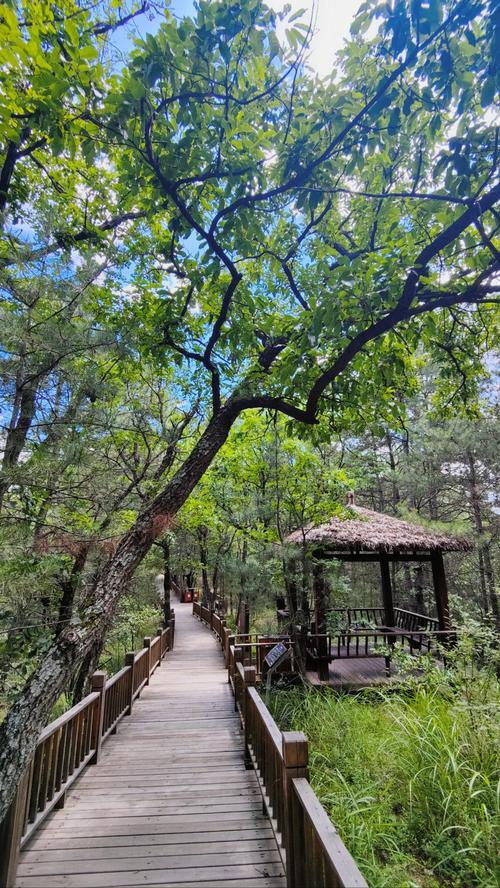 黄陵国家森林公园景点