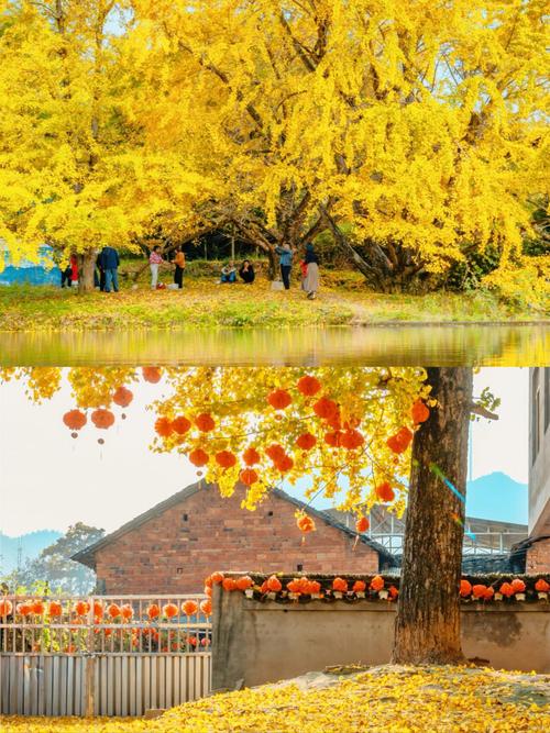 广西秋天旅游景点大全
