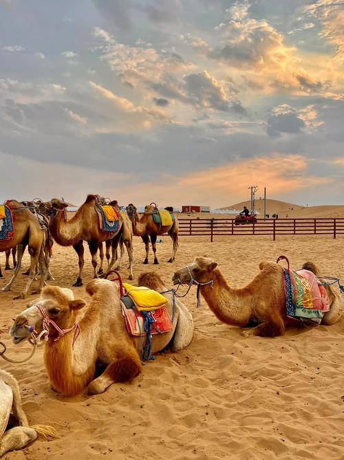 宁夏旅游景点图片大全
