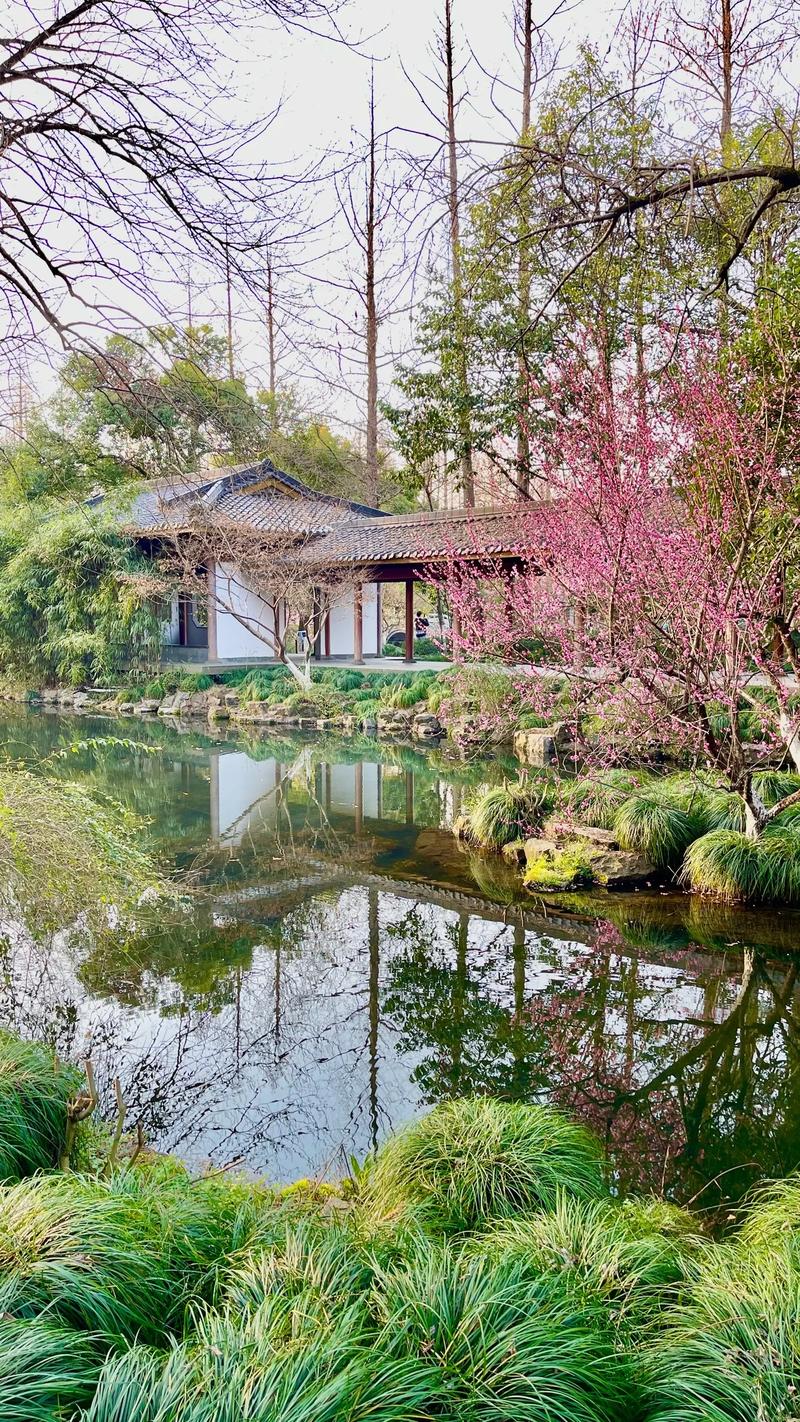 杭州西湖的景点有哪些