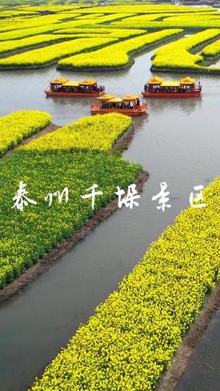 泰州去青岛自驾游攻略