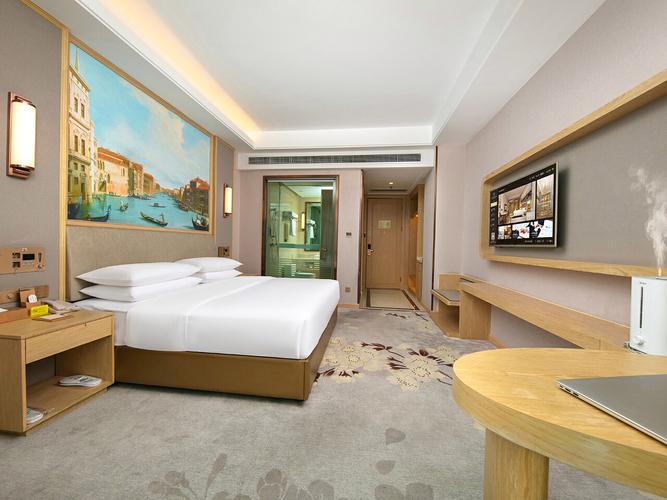 拉萨维也纳国际酒店