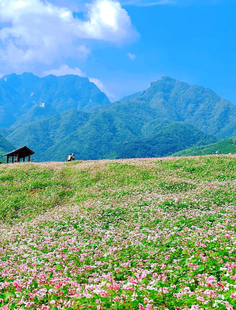 西安蓝天旅游景点大全