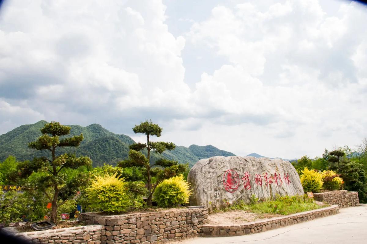 宁国附近旅游景点大全