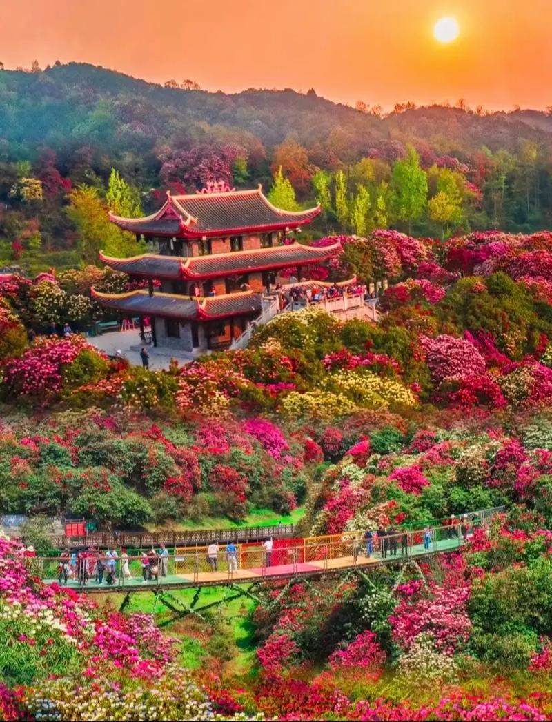 贵州毕节旅游景点排名