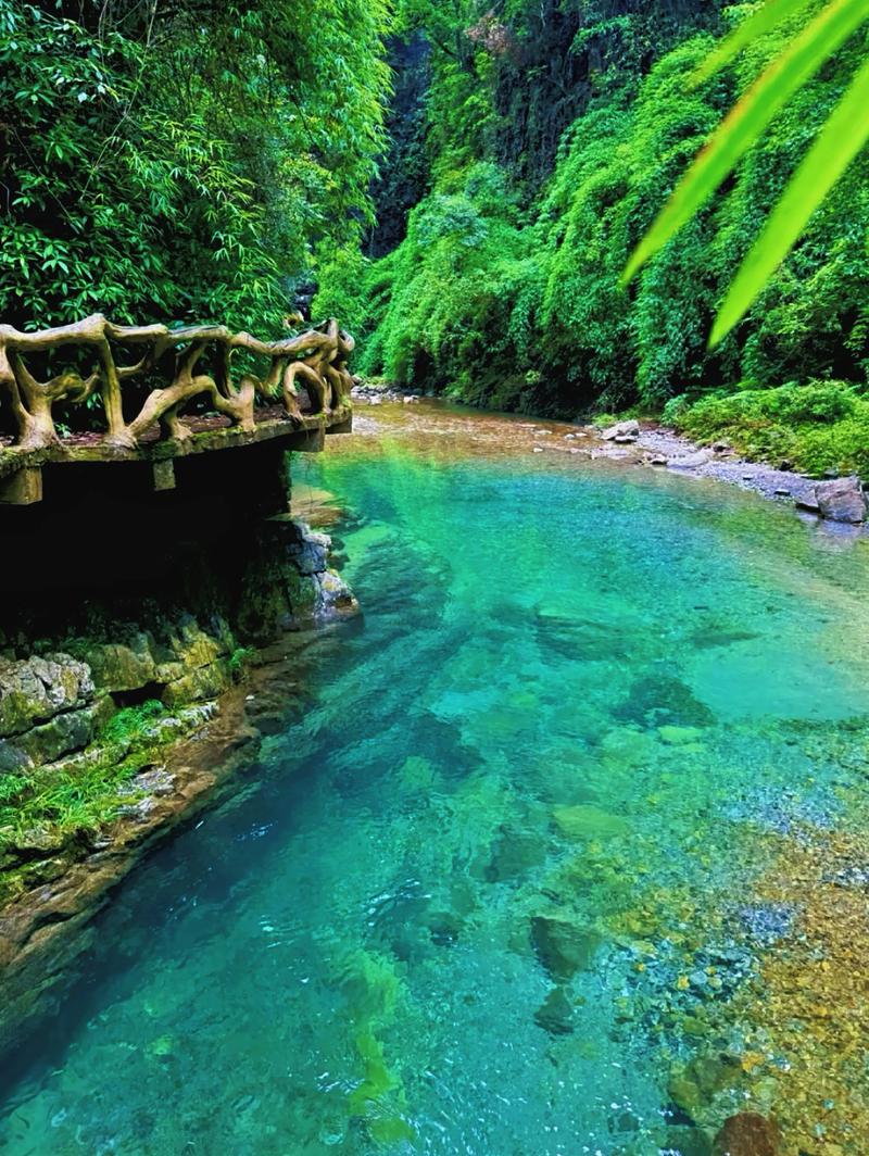 贵州毕节旅游景点排名