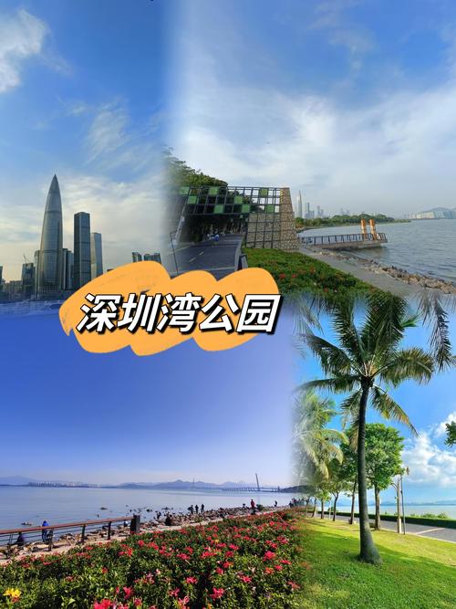 深圳周边好玩的自驾游