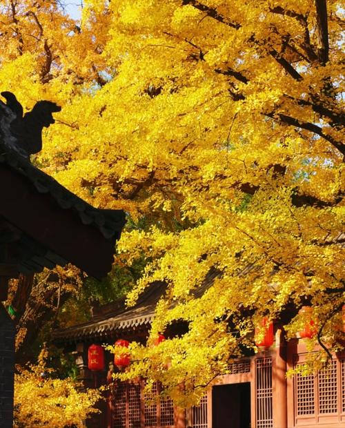 太原秋季旅游景点大全