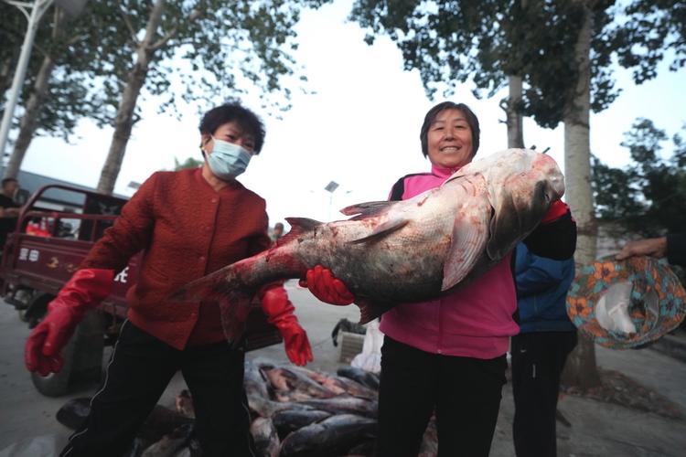 北京自驾游捞鱼的地方