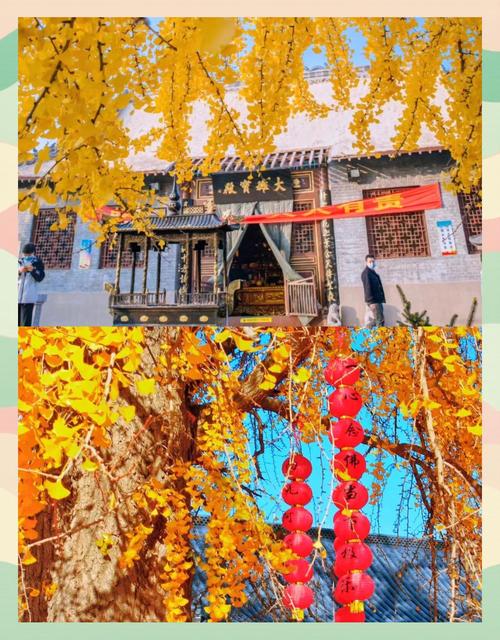 青岛秋季旅游景点大全